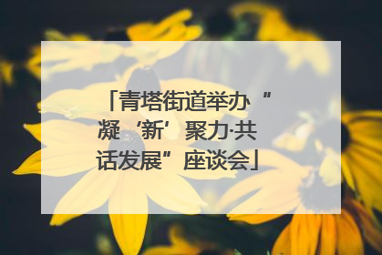 青塔街道举办“凝‘新’聚力·共话发展”座谈会