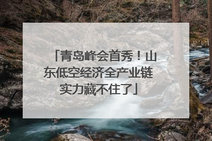 青岛峰会首秀！山东低空经济全产业链实力藏不住了