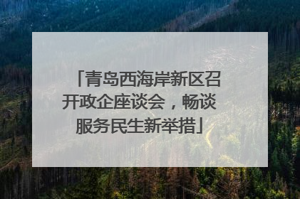 青岛西海岸新区召开政企座谈会，畅谈服务民生新举措