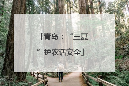 青岛：“三夏”护农话安全