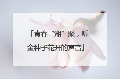 青春“湘”聚，听金种子花开的声音