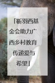 靳羽西基金会助力广西乡村教育 传递爱与希望