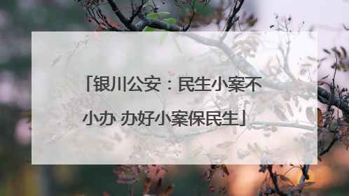 银川公安：民生小案不小办 办好小案保民生