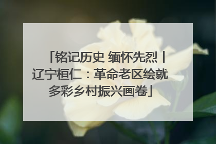 铭记历史 缅怀先烈丨辽宁桓仁：革命老区绘就多彩乡村振兴画卷