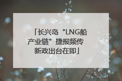 长兴岛“LNG船产业链”捷报频传 新政出台在即
