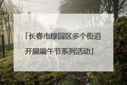 长春市绿园区多个街道开展端午节系列活动