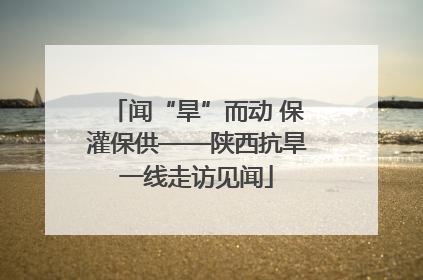 闻“旱”而动 保灌保供——陕西抗旱一线走访见闻