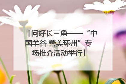 问好长三角——“中国羊谷 善美环州”专场推介活动举行