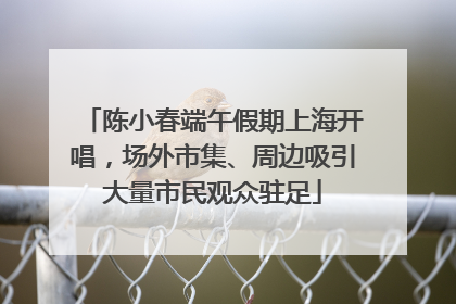 陈小春端午假期上海开唱，场外市集、周边吸引大量市民观众驻足