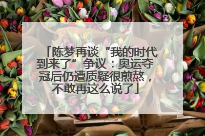 陈梦再谈“我的时代到来了”争议：奥运夺冠后仍遭质疑很煎熬，不敢再这么说了