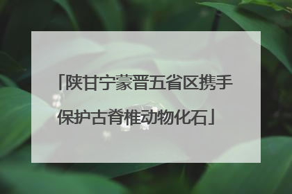 陕甘宁蒙晋五省区携手保护古脊椎动物化石