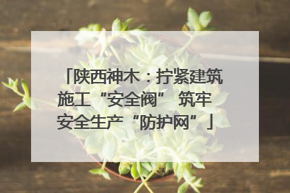 陕西神木：拧紧建筑施工“安全阀” 筑牢安全生产“防护网”