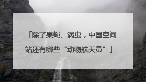 除了果蝇、涡虫，中国空间站还有哪些“动物航天员”