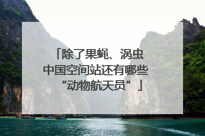 除了果蝇、涡虫 中国空间站还有哪些“动物航天员”