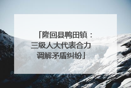 隆回县鸭田镇：三级人大代表合力调解矛盾纠纷