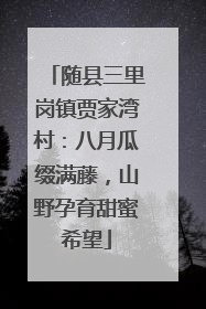随县三里岗镇贾家湾村：八月瓜缀满藤，山野孕育甜蜜希望