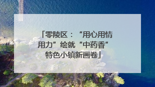 零陵区：“用心用情用力”绘就“中药香”特色小镇新画卷