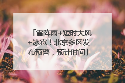 雷阵雨+短时大风+冰雹！北京多区发布预警，预计时间