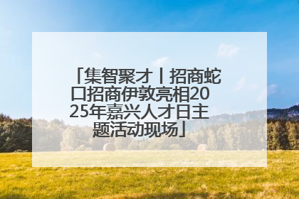 集智聚才丨招商蛇口招商伊敦亮相2025年嘉兴人才日主题活动现场