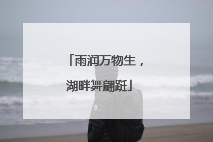 雨润万物生，湖畔舞翩跹