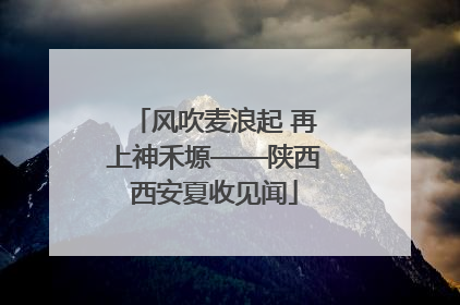 风吹麦浪起 再上神禾塬——陕西西安夏收见闻