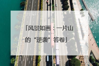 风景如画：一片山的“逆袭”答卷