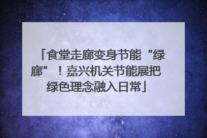 食堂走廊变身节能“绿廊”！嘉兴机关节能展把绿色理念融入日常