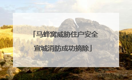 马蜂窝威胁住户安全 宣城消防成功摘除