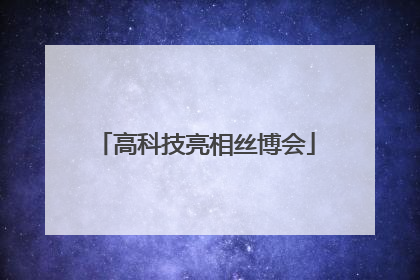 高科技亮相丝博会