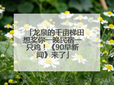 龙泉的千亩梯田想奖你一晚民宿一只鸡！《90早新闻》来了