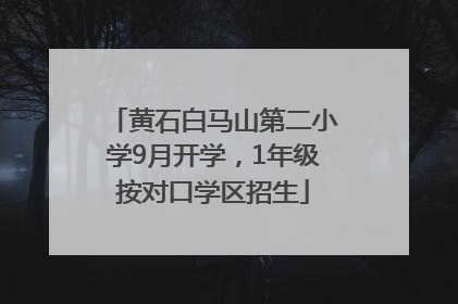 黄石白马山第二小学9月开学，1年级按对口学区招生