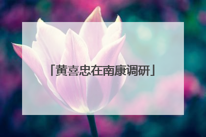 黄喜忠在南康调研