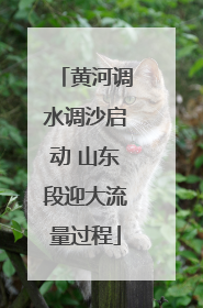黄河调水调沙启动 山东段迎大流量过程