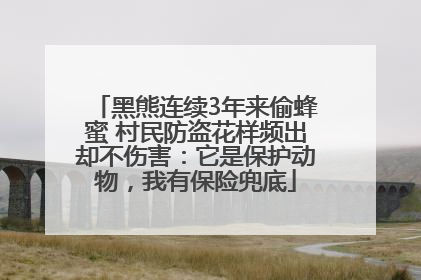黑熊连续3年来偷蜂蜜 村民防盗花样频出却不伤害：它是保护动物，我有保险兜底