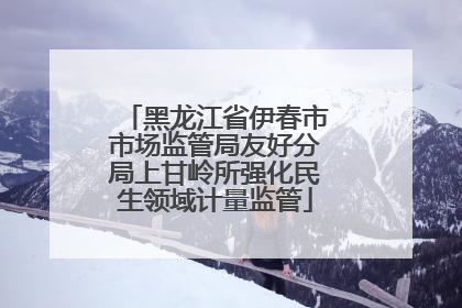 黑龙江省伊春市市场监管局友好分局上甘岭所强化民生领域计量监管