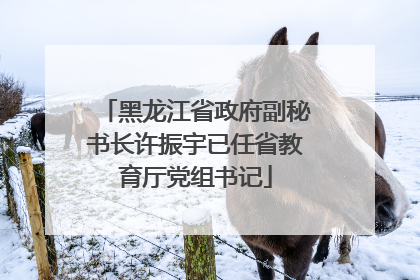 黑龙江省政府副秘书长许振宇已任省教育厅党组书记