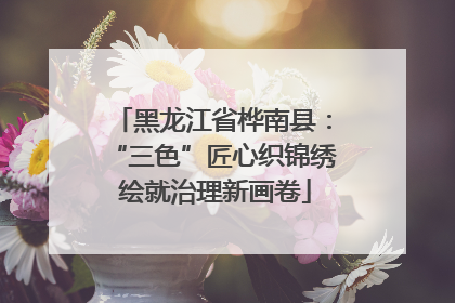 黑龙江省桦南县：“三色”匠心织锦绣 绘就治理新画卷