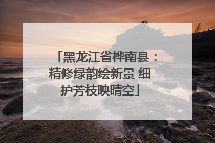 黑龙江省桦南县：精修绿韵绘新景 细护芳枝映晴空