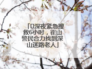 ﻿深夜紧急搜救6小时，霍山警民合力找到深山迷路老人