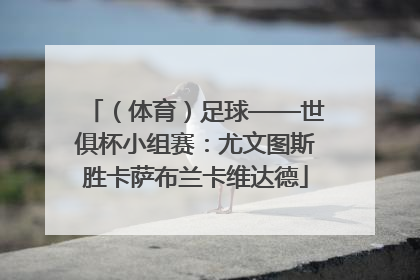 （体育）足球——世俱杯小组赛：尤文图斯胜卡萨布兰卡维达德