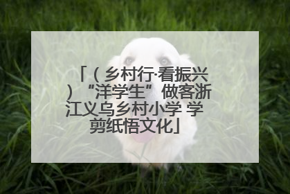 （乡村行·看振兴）“洋学生”做客浙江义乌乡村小学 学剪纸悟文化