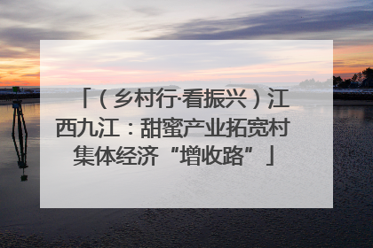 （乡村行·看振兴）江西九江：甜蜜产业拓宽村集体经济“增收路”