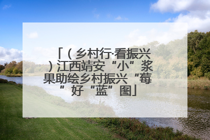 （乡村行·看振兴）江西靖安“小”浆果助绘乡村振兴“莓”好“蓝”图