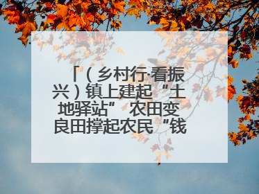 （乡村行·看振兴）镇上建起“土地驿站” 农田变良田撑起农民“钱袋子”