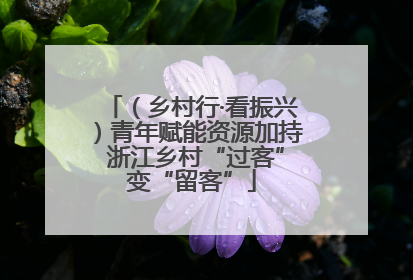 （乡村行·看振兴）青年赋能资源加持 浙江乡村“过客”变“留客”