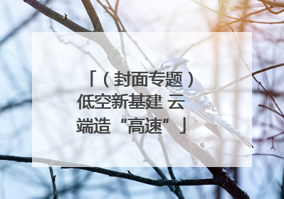 （封面专题）低空新基建 云端造“高速”