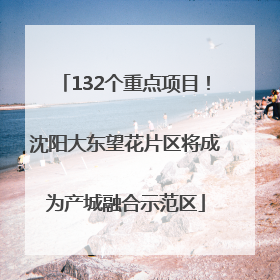 132个重点项目！沈阳大东望花片区将成为产城融合示范区