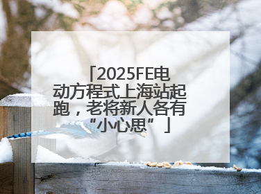 2025FE电动方程式上海站起跑，老将新人各有“小心思”