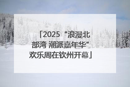 2025“浪漫北部湾 潮派嘉年华”欢乐周在钦州开幕