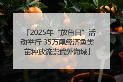 2025年“放鱼日”活动举行 35万尾经济鱼类苗种放流崇武外海域